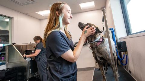 Walmart’s first-ever pet services center is located in Dallas, Ga. 